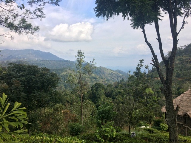 Family Trip to Sri Lanka: Honest Itinerary, Tips, and Recommendations from Real Parents