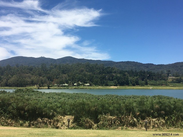 Family Trip to Sri Lanka: Honest Itinerary, Tips, and Recommendations from Real Parents