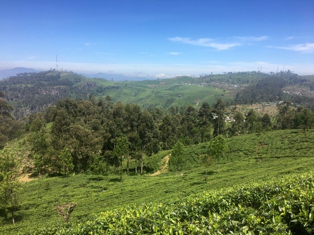 Family Trip to Sri Lanka: Honest Itinerary, Tips, and Recommendations from Real Parents