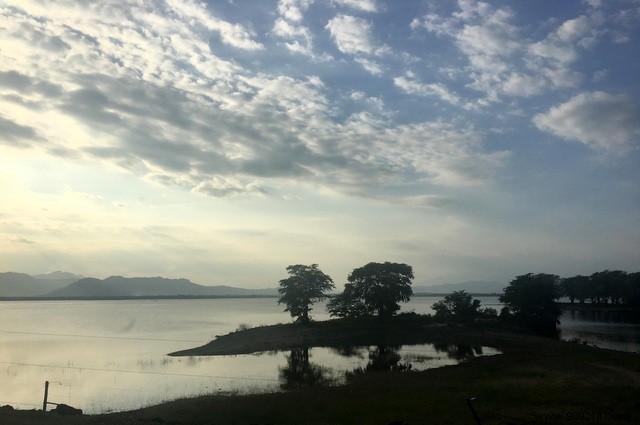 Family Trip to Sri Lanka: Honest Itinerary, Tips, and Recommendations from Real Parents