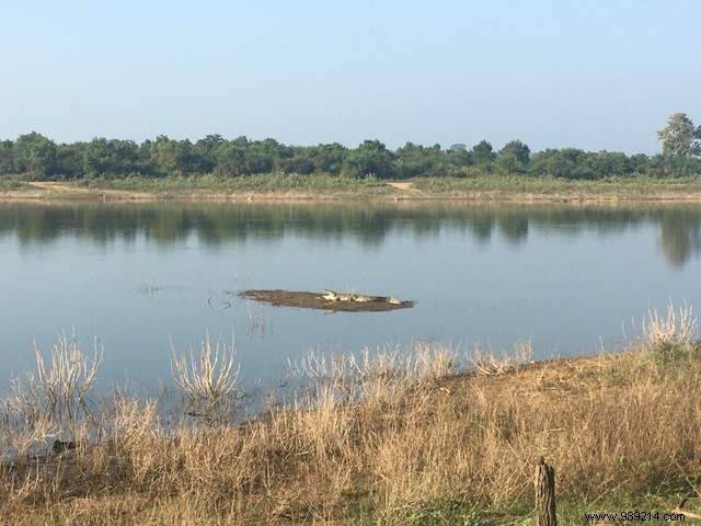 Family Trip to Sri Lanka: Honest Itinerary, Tips, and Recommendations from Real Parents