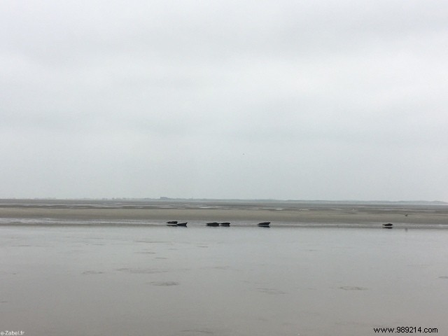 Family Weekend on France s Opal Coast: Beaches, Seals, and Charming Villages