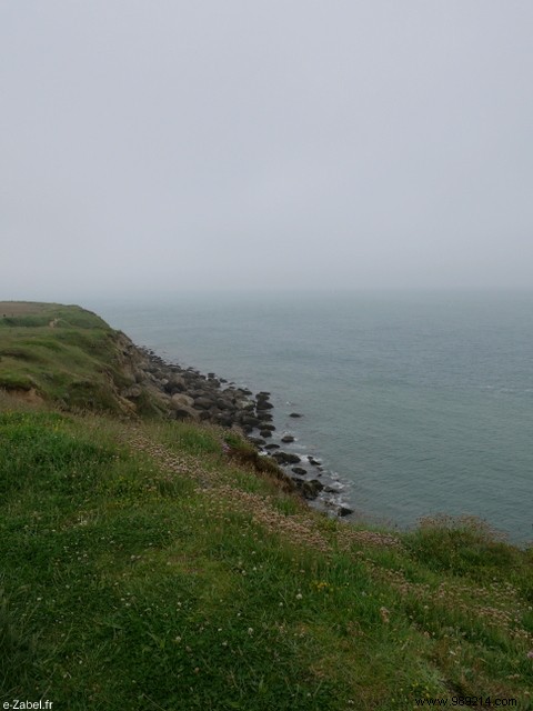 Family Weekend on France s Opal Coast: Beaches, Seals, and Charming Villages