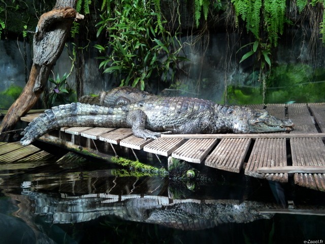Family Weekend on France s Opal Coast: Beaches, Seals, and Charming Villages