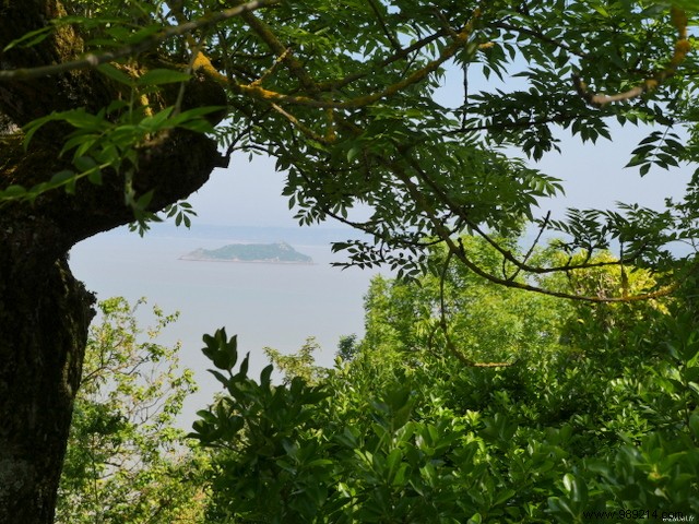 Family Adventure at Mont Saint-Michel: Insider Tips from a Local s Perspective