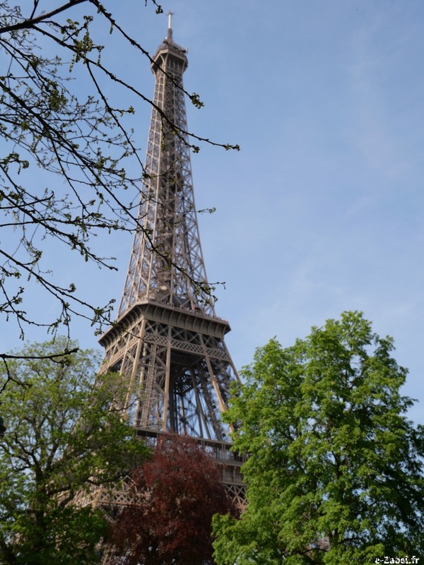 Family Adventure atop the Eiffel Tower: Stunning Paris Views and Where s Charlie?