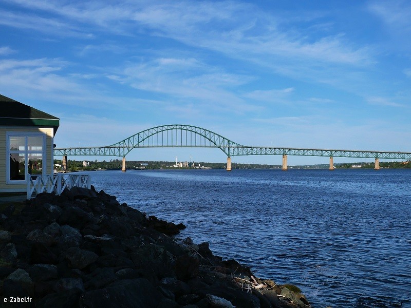 New Brunswick Road Trip: Unforgettable Bear Safaris, National Parks, and Bay of Fundy Marvels