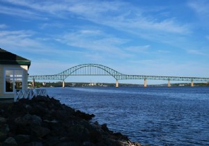 New Brunswick Road Trip: Unforgettable Bear Safaris, National Parks, and Bay of Fundy Marvels