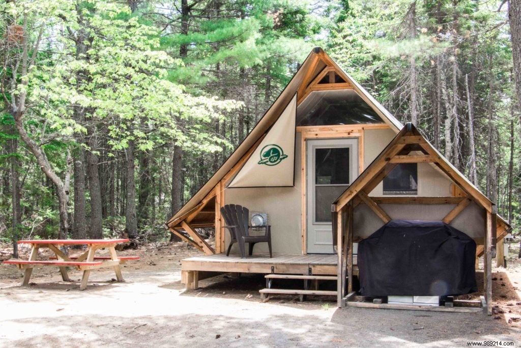 New Brunswick Road Trip: Unforgettable Bear Safaris, National Parks, and Bay of Fundy Marvels