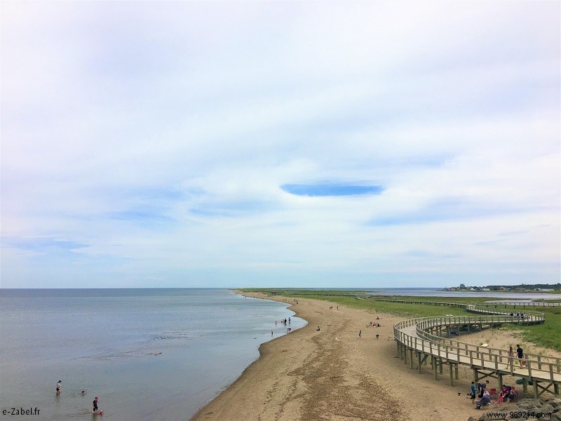 New Brunswick Road Trip: Unforgettable Bear Safaris, National Parks, and Bay of Fundy Marvels