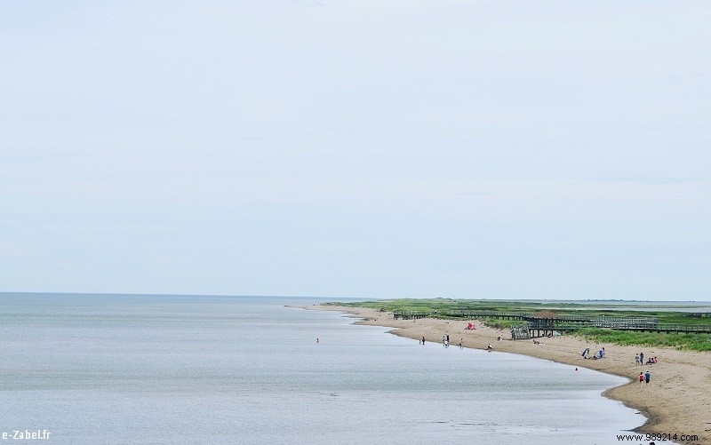 New Brunswick Road Trip: Unforgettable Bear Safaris, National Parks, and Bay of Fundy Marvels