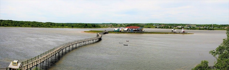 New Brunswick Road Trip: Unforgettable Bear Safaris, National Parks, and Bay of Fundy Marvels