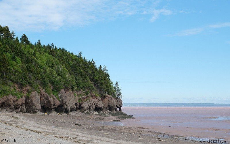 New Brunswick Road Trip: Unforgettable Bear Safaris, National Parks, and Bay of Fundy Marvels