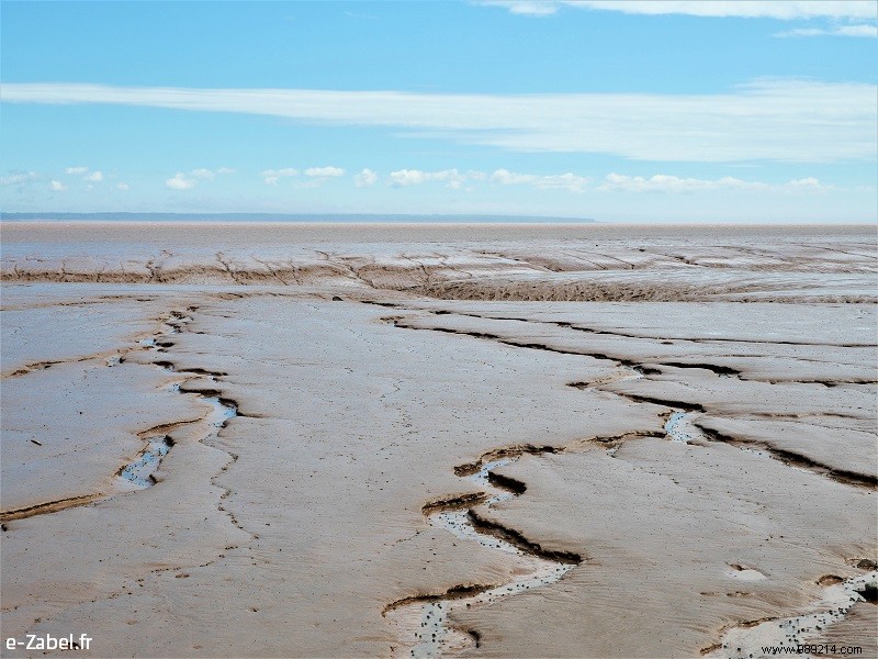 New Brunswick Road Trip: Unforgettable Bear Safaris, National Parks, and Bay of Fundy Marvels