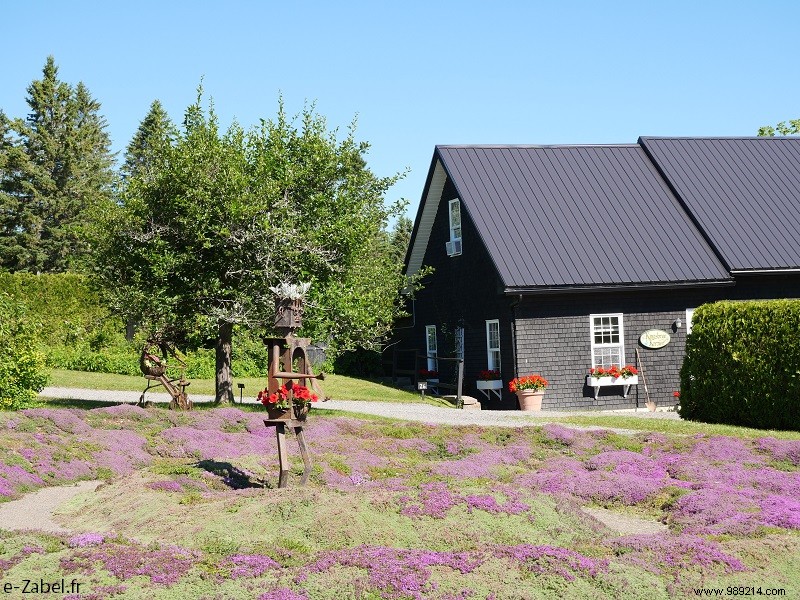 New Brunswick Road Trip: Unforgettable Bear Safaris, National Parks, and Bay of Fundy Marvels