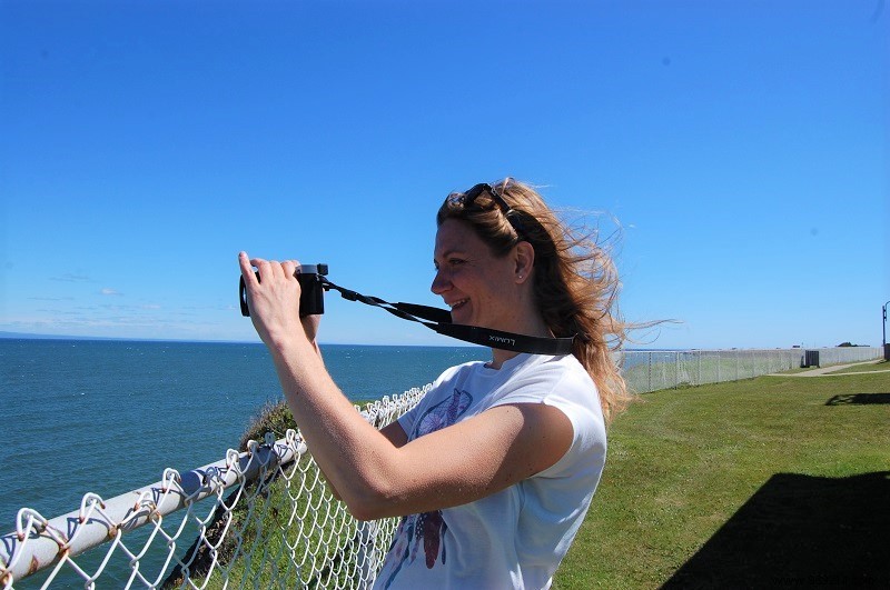 New Brunswick Road Trip: Unforgettable Bear Safaris, National Parks, and Bay of Fundy Marvels