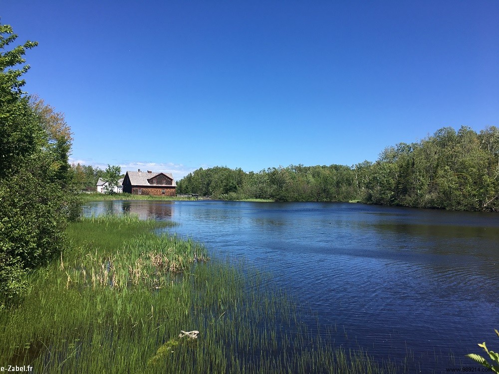 Family Adventures in Acadia: Exploring Northern New Brunswick, Canada