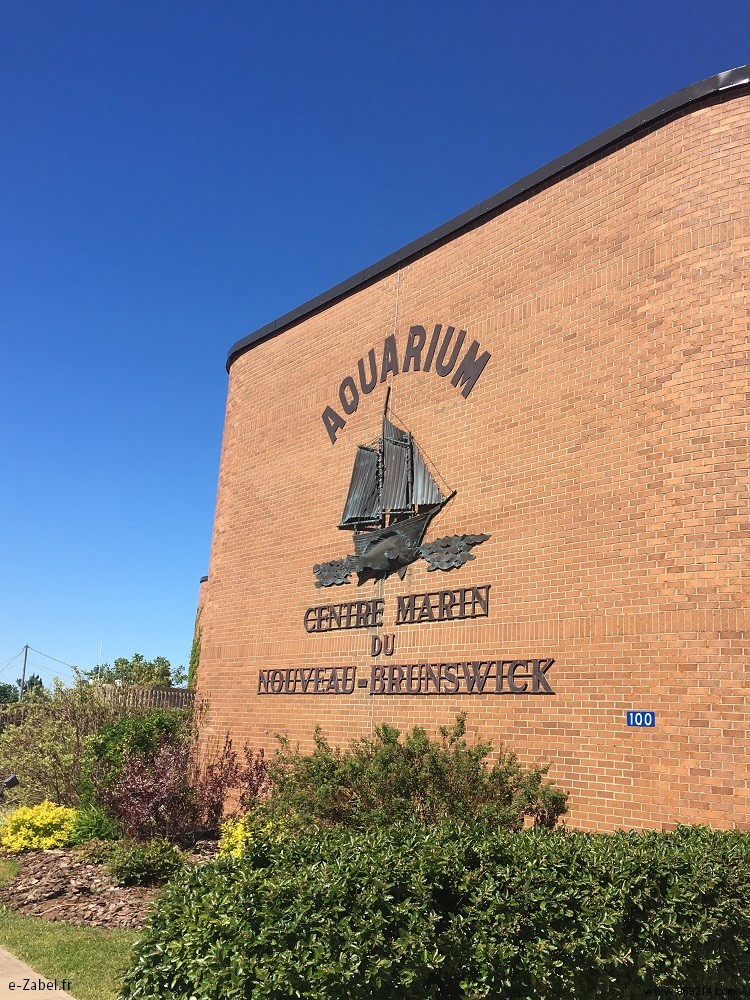 Family Adventures in Acadia: Exploring Northern New Brunswick, Canada