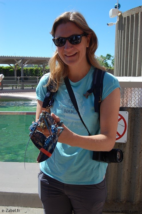 Family Adventures in Acadia: Exploring Northern New Brunswick, Canada