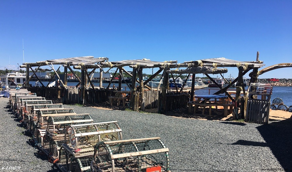 Family Adventures in Acadia: Exploring Northern New Brunswick, Canada