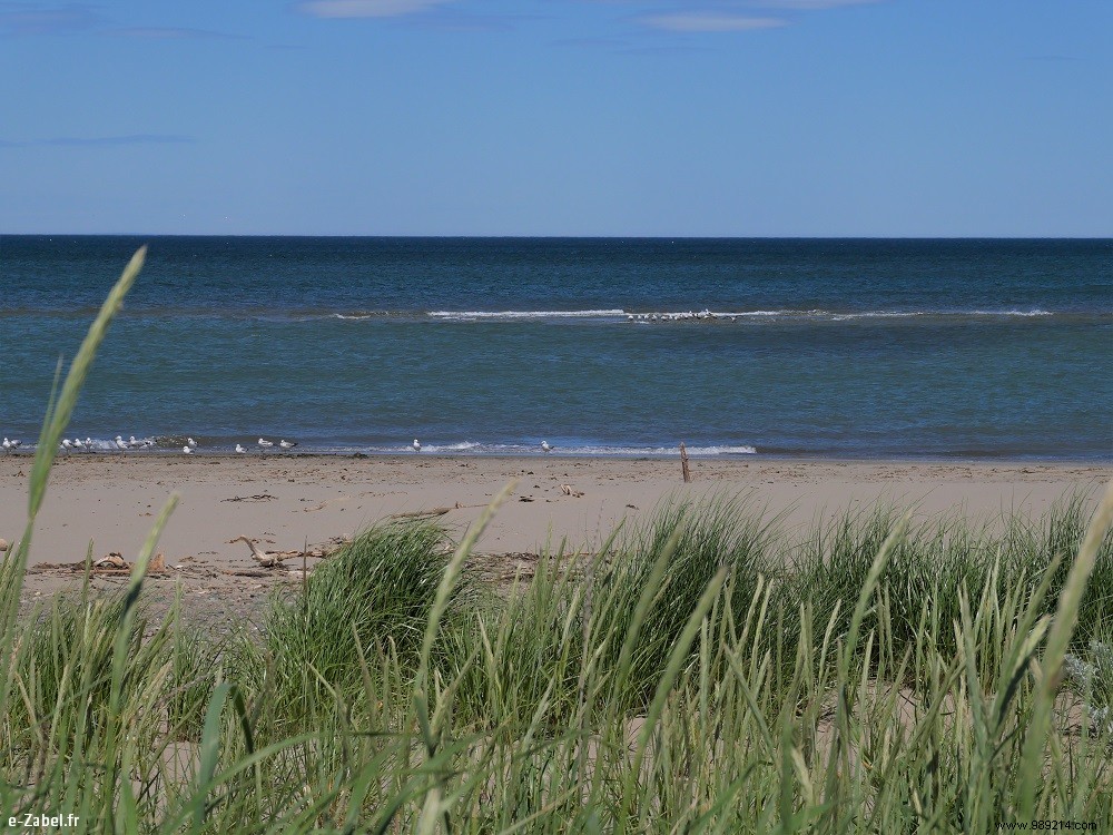 Family Adventures in Acadia: Exploring Northern New Brunswick, Canada