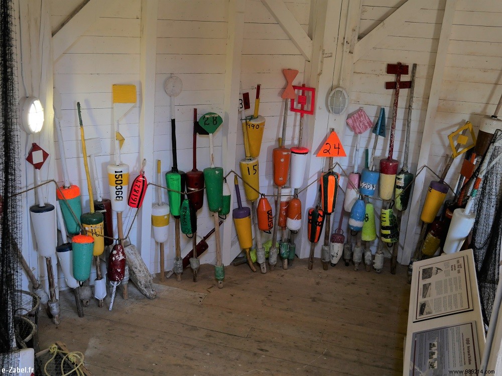 Family Adventures in Acadia: Exploring Northern New Brunswick, Canada