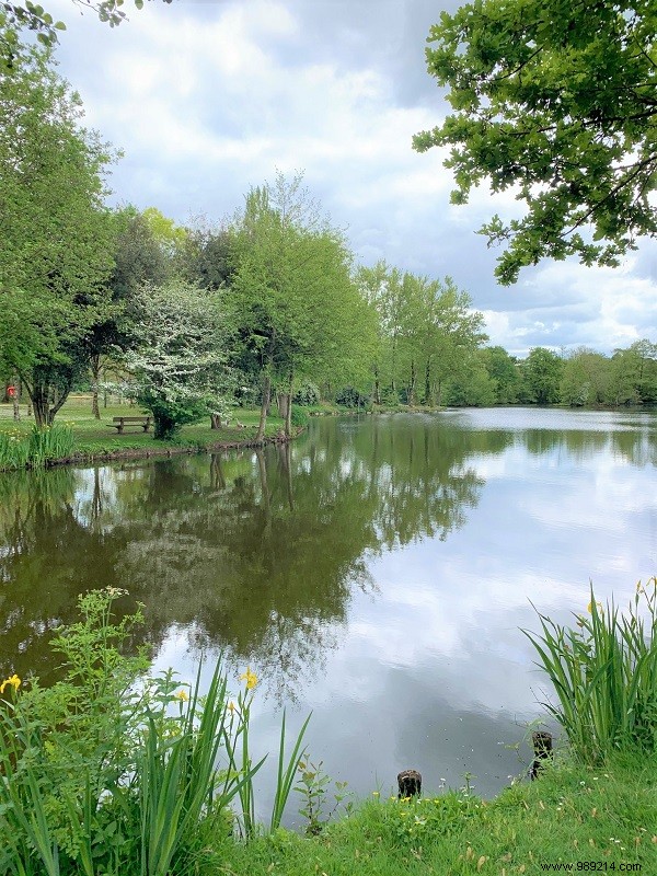 Unexpected Family Getaway: A Refreshing Break in Vendée s Saint Jean de Monts