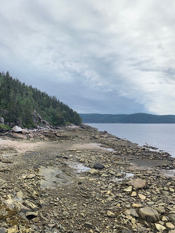 Quebec Family Road Trip Part 2: Whale Watching in Tadoussac, Saguenay Fjord, and Lac Saint-Jean