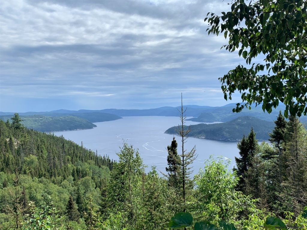 Quebec Family Road Trip Part 2: Whale Watching in Tadoussac, Saguenay Fjord, and Lac Saint-Jean