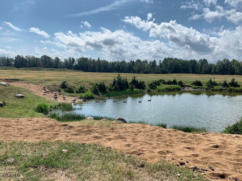 Quebec Family Road Trip Part 2: Whale Watching in Tadoussac, Saguenay Fjord, and Lac Saint-Jean