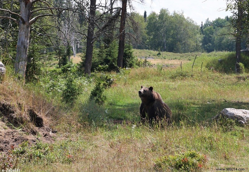 Quebec Family Road Trip Part 2: Whale Watching in Tadoussac, Saguenay Fjord, and Lac Saint-Jean