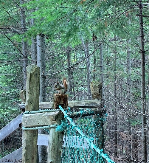 Vacances au Canada #1 : Québec et Gaspésie – Itinéraire détaillé et conseils pratiques