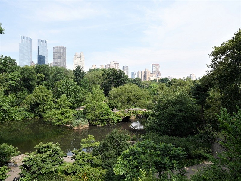 Our Family s 4-Day New York City Adventure: Insider Itinerary for Tweens and Teens