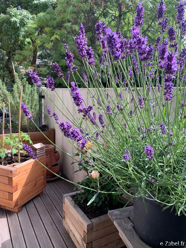 Deconfinement Realities: A Seasoned Mom Blogger s Take on Post-Lockdown Life