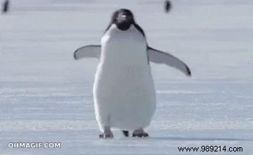 Enter Our Well-Being Contest: Share Your Vision and Win Incredible Prizes