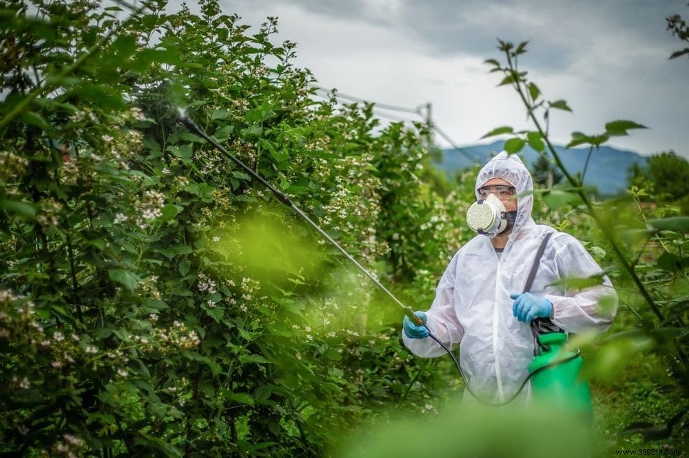 Pesticides and Human Health: Key Risks, Scientific Insights, and Proven Protection Strategies