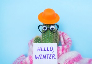 Winter-Proof Your Garden: Expert Tips for Protecting Indoor and Outdoor Plants