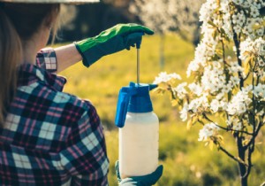 8 Proven Natural Remedies to Eliminate Household Pests Like Flies, Mosquitoes, and Fleas