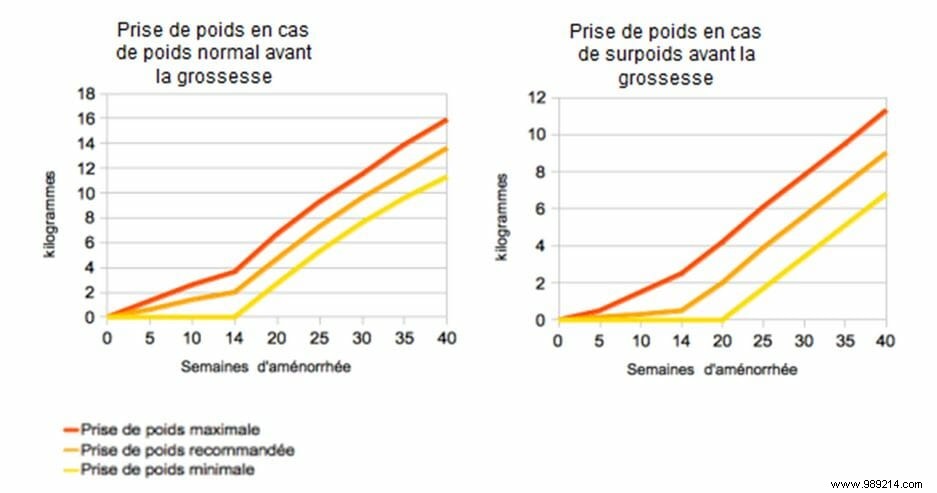 Healthy Weight Gain During Pregnancy: Guidelines, Curves, and Expert Advice