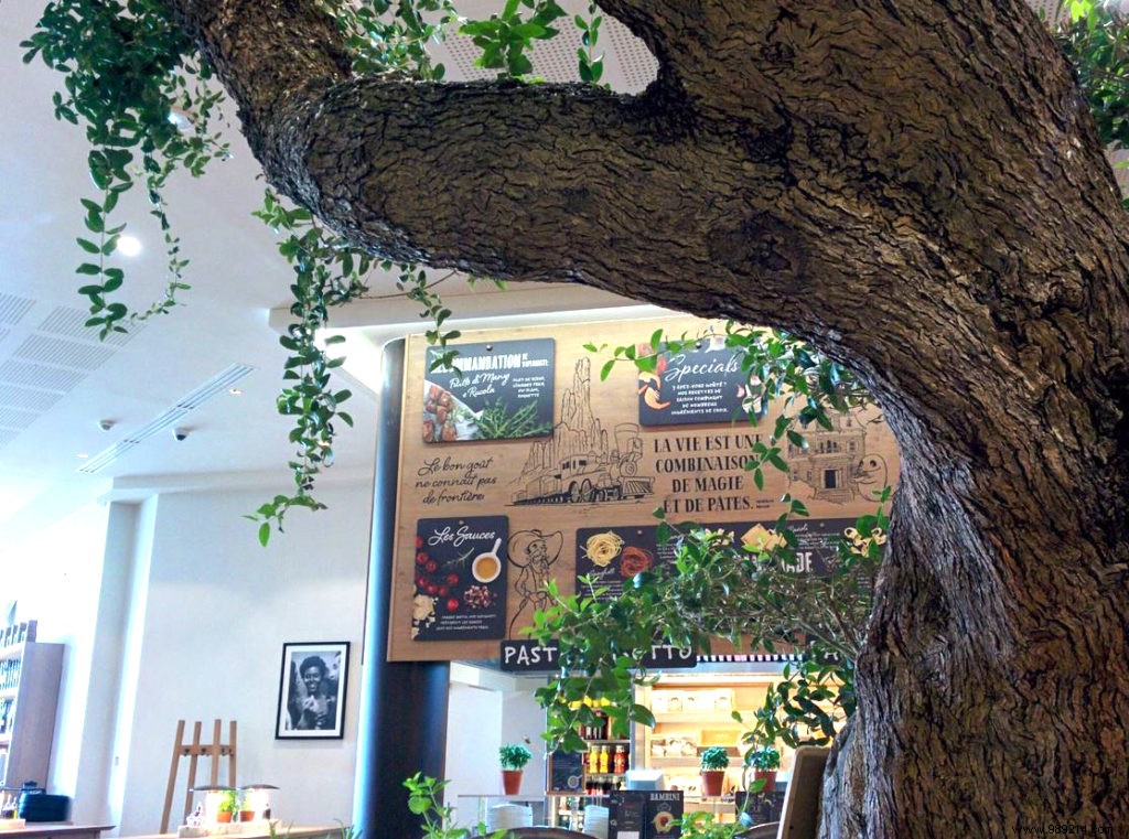 Vapiano Disney Village Review: Authentic Italian Dining for Families Near Disneyland Paris