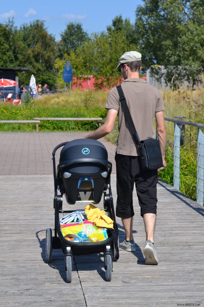 Parc du Petit Prince Review: Our Family s Honest Experience in Alsace