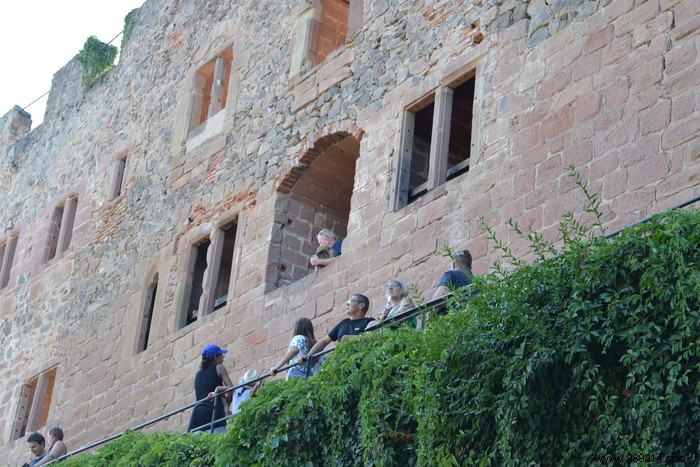 Parc de la Volerie des Aigles: Thrilling Birds of Prey Shows in Kintzheim, Alsace