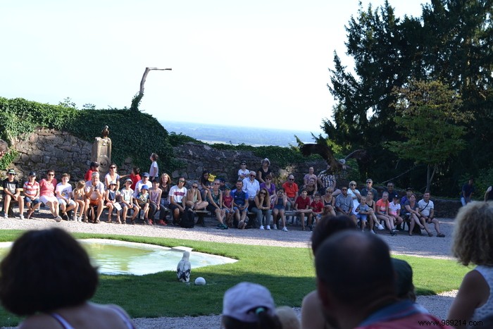 Parc de la Volerie des Aigles: Thrilling Birds of Prey Shows in Kintzheim, Alsace