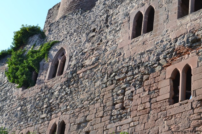 Parc de la Volerie des Aigles: Thrilling Birds of Prey Shows in Kintzheim, Alsace