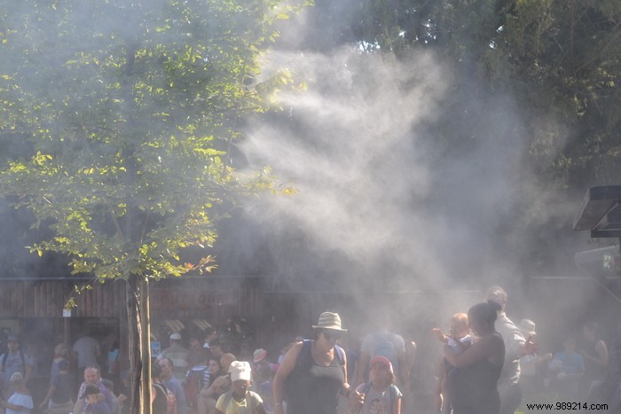 Parc de la Volerie des Aigles: Thrilling Birds of Prey Shows in Kintzheim, Alsace