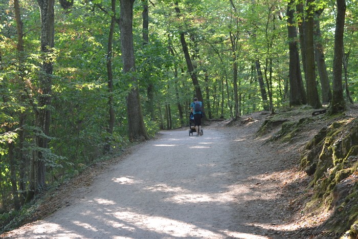 Parc de la Volerie des Aigles: Thrilling Birds of Prey Shows in Kintzheim, Alsace