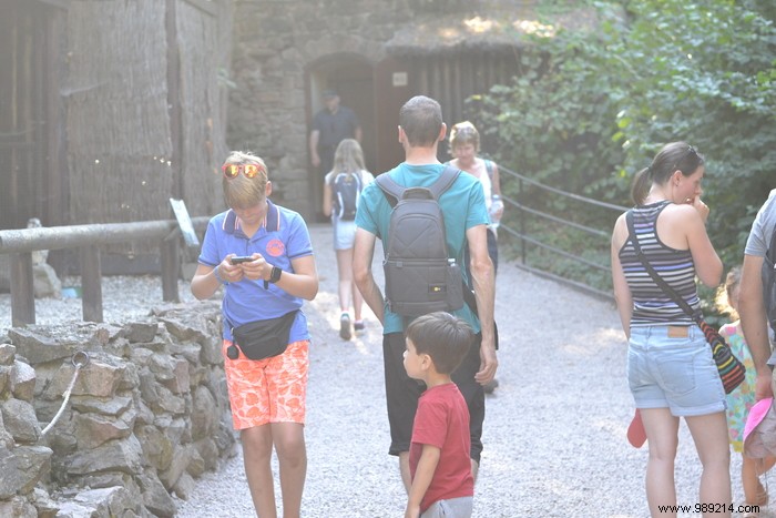 Parc de la Volerie des Aigles: Thrilling Birds of Prey Shows in Kintzheim, Alsace