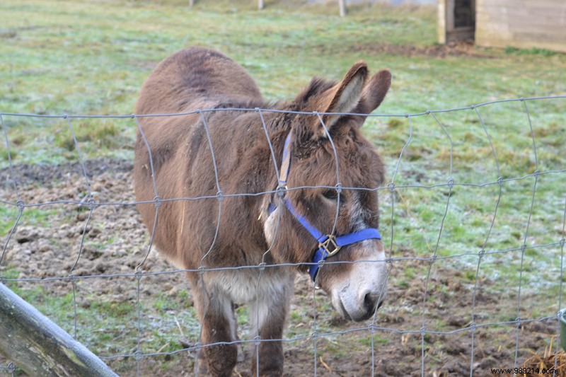 Our Relaxing Family Weekend at Eco-Friendly Domaine du Val in the Baie de Somme