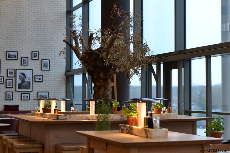 Festive Christmas Meal at Vapiano Disney Village: Our Family s Honest Review