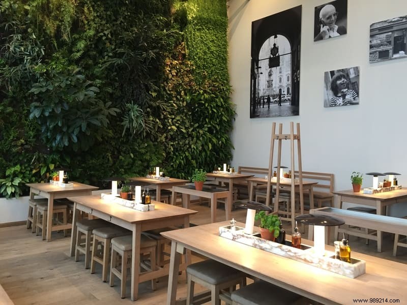 Festive Christmas Meal at Vapiano Disney Village: Our Family s Honest Review